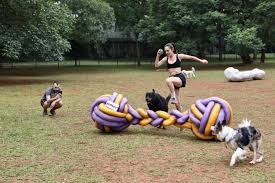 Brincadeira no Parque